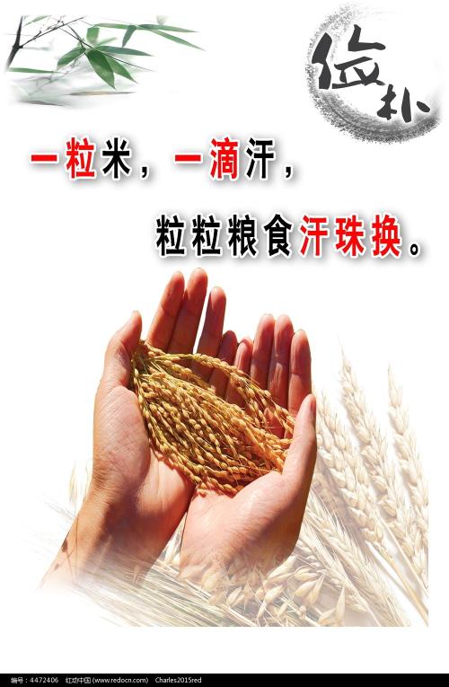 罗马第二大学金融文凭证书
